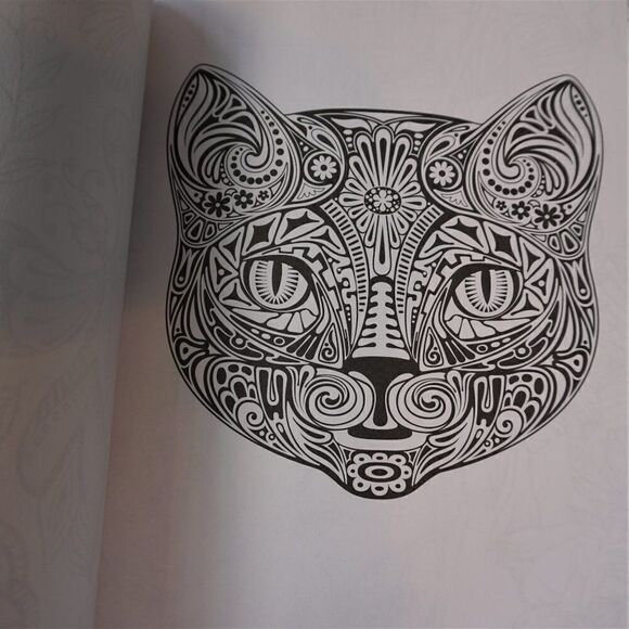 Color Creatives Book Peaceful Patterns Coloring To Relax And Soothe - Picture 8 of 9